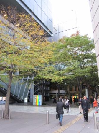 101119-tokyo-intl-forum.jpg
