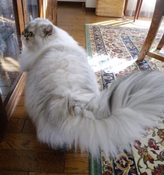20110206142247.jpg