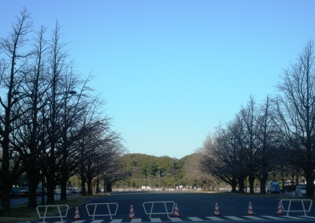 20110217132747.jpg