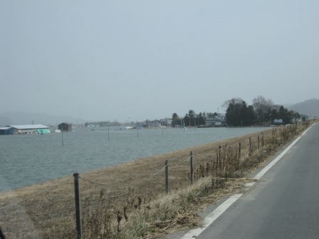 20110324115933.jpg