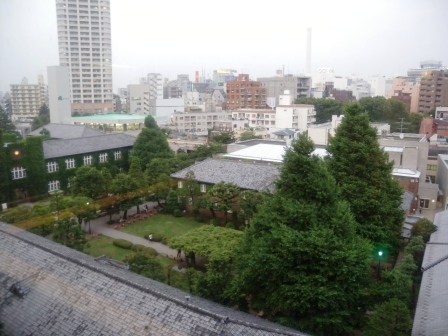 20110612071349.jpg