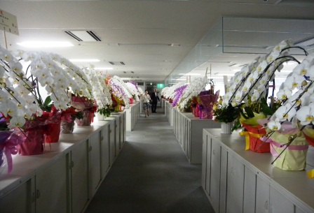 20110705155348.jpg