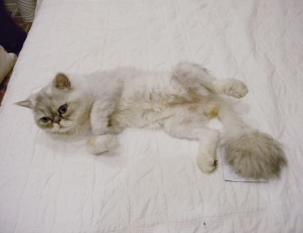 20110710114936.jpg