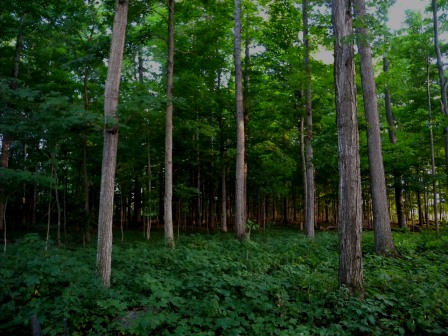 20110724193121.jpg