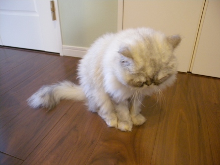 20110911150943.jpg