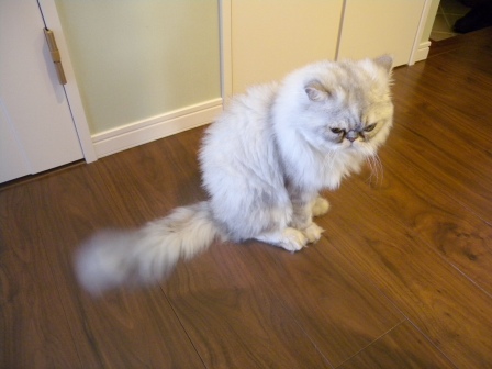 20110911153441.jpg