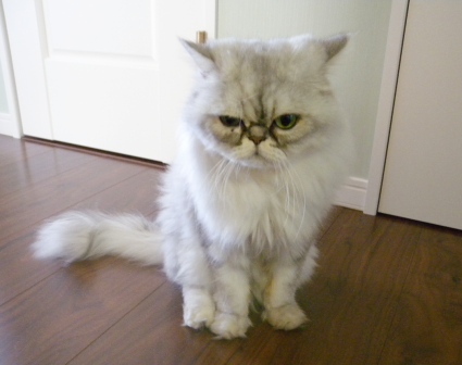 20110911154206.jpg