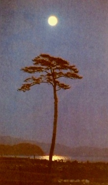 20110913153841.JPG