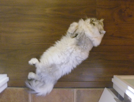 20110918171129.jpg