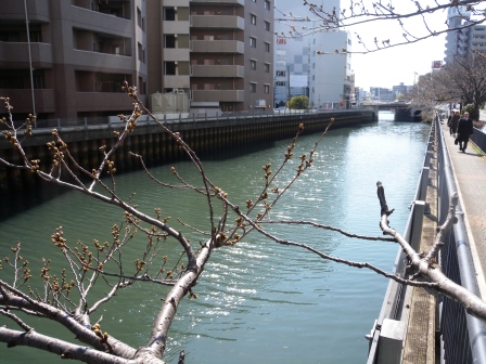 20120328124035.jpg