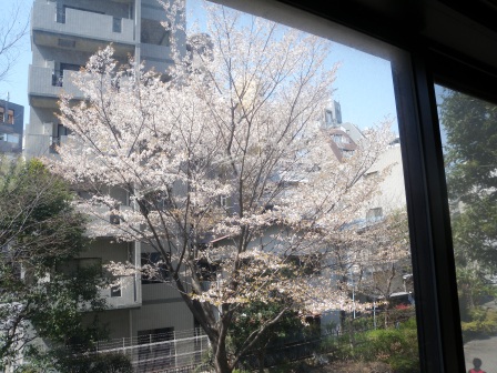 20120405110830.jpg