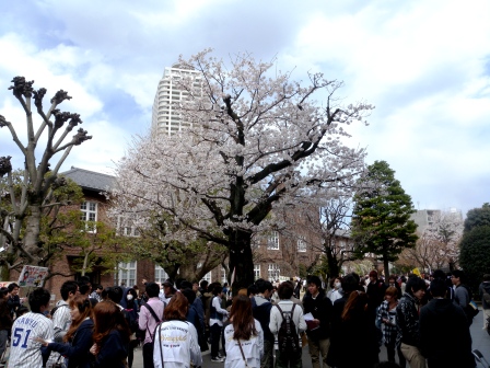 20120407171333.jpg