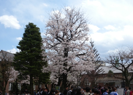 20120408115146.jpg