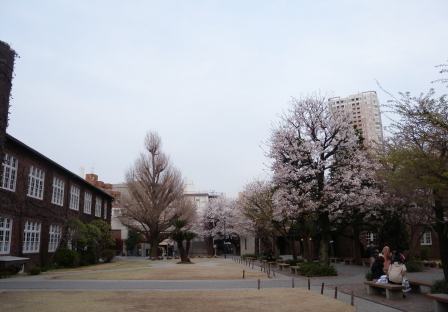 20120411125354.jpg