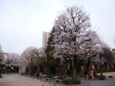 20120411125413.jpg