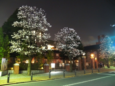 20120411125634.jpg