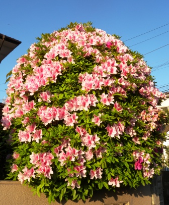 20120506183056.jpg