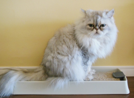 20120520204730.jpg