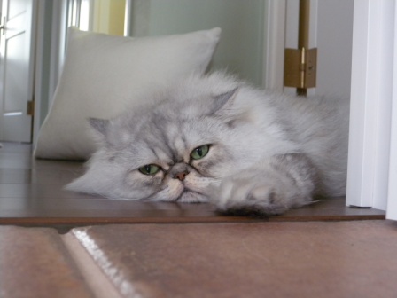 20120708154810.jpg