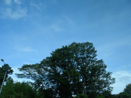 20120715132030.jpg