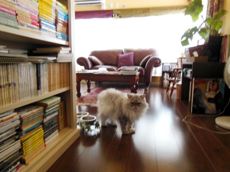 20120812150126.JPG