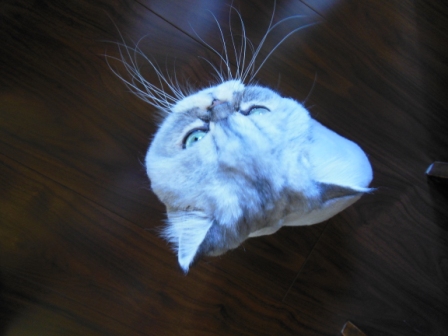 20120902184509.jpg