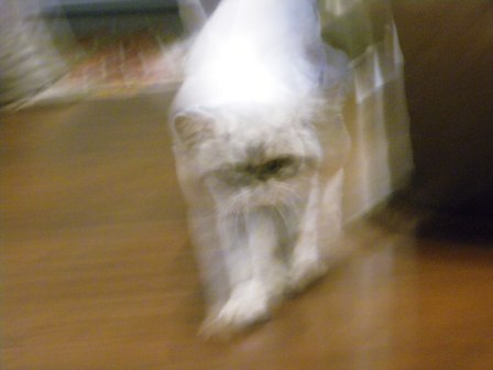 20120909180857.jpg