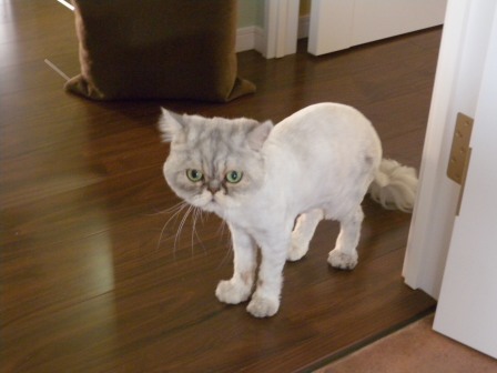 20120909180913.jpg