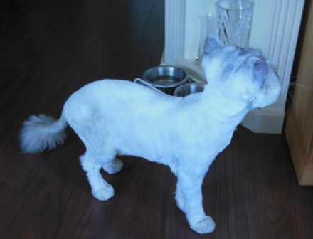 20120909181100.jpg