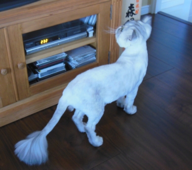 20120909181128.jpg