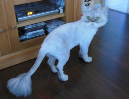 20120909181456.jpg