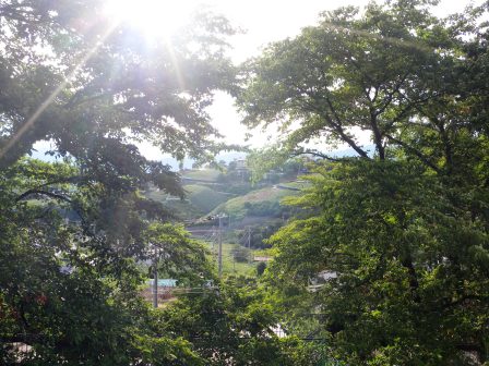 20120909181916.jpg
