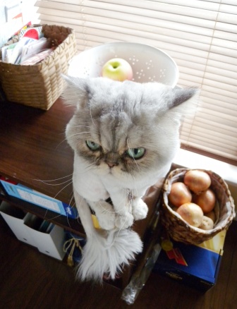 20120909182117.jpg