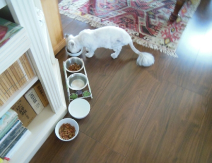 20120909182152.jpg