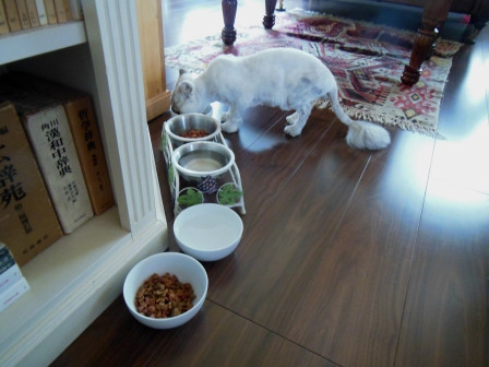 20120909182332.jpg