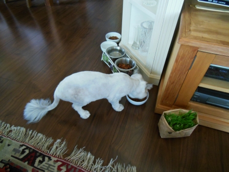 20120909182515.jpg