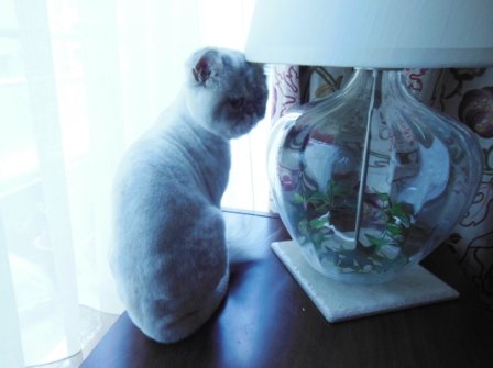 20120909182553.jpg