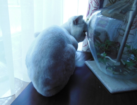 20120909182644.jpg