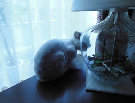 20120909182715.JPG