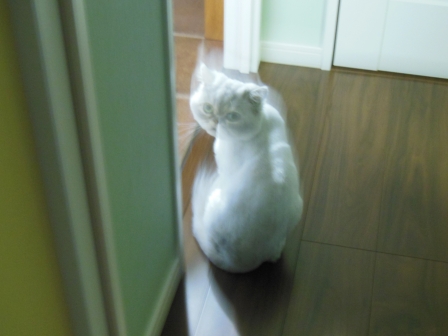 20120923183953.jpg