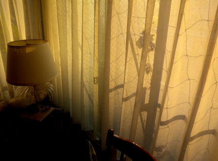 20121021180722.jpg