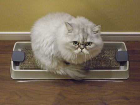 20121209184605.jpg
