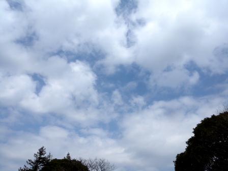 20130317190023.jpg