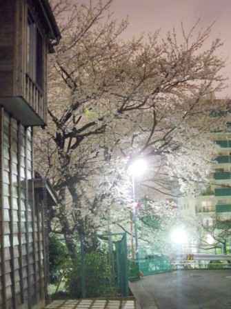 20130324154051.jpg