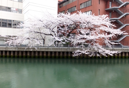 20130325162914.JPG