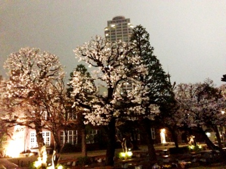 20130326194354.jpg