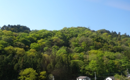 20130428200101.jpg