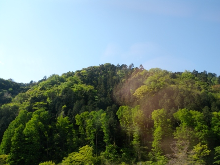 20130428200145.jpg