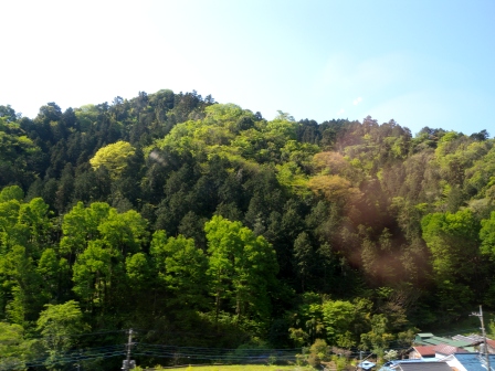 20130428200154.jpg