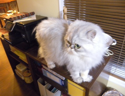 20130519204414.jpg